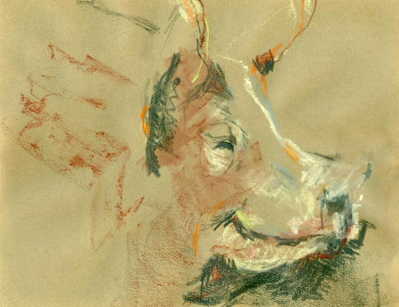 Pig Study by Rebecca Dufton, 11 x 8.5 inches, watercolour crayon on paper